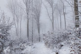 vikend Nove objavy cakaju v novom roku