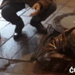 Cynicka obluda Nove susosie v Bratislave