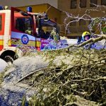 Hasici v nedelu zasahovali pri zvysenom pocte vyjazdov kvoli silnemu vetru