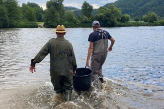 Medzi rybar mi to vrie Brat pred se du organizacie zarobil tisice eur na predaji povoleniek