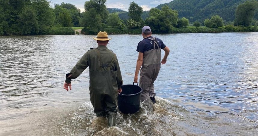 Medzi rybar mi to vrie Brat pred se du organizacie zarobil tisice eur na predaji povoleniek