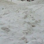 Pad laviny vo Vysokych Tatrach si vyzadal zivot 32 roneho muza Korzar Spis a Gemer SME