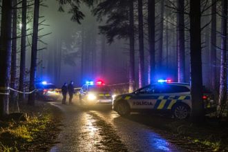 Traja muzi dobili obet palicami sposobili jej smrt hrozi im 15 rokov vazenia