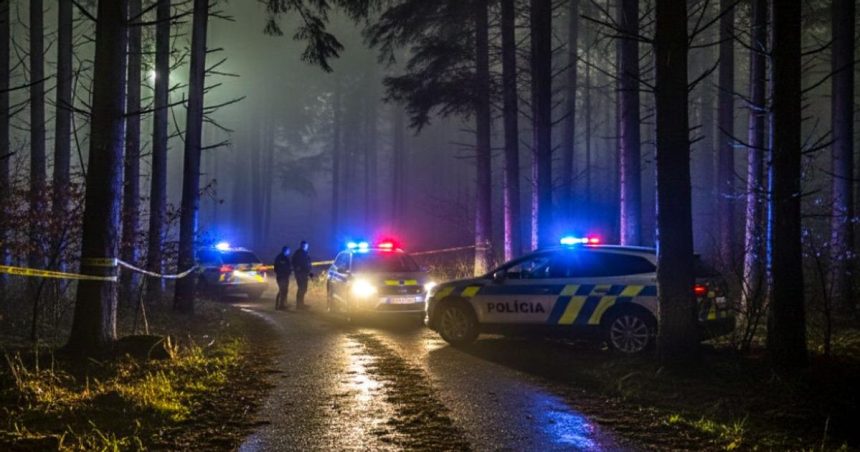 Traja muzi dobili obet palicami sposobili jej smrt hrozi im 15 rokov vazenia