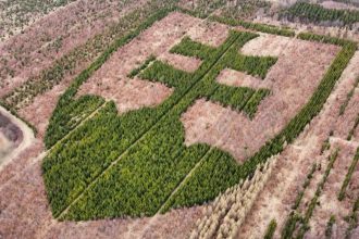 rarita o ktorej ste zrejme netusili statny znak v horovciach zasadil zanieteny dobrovolnik