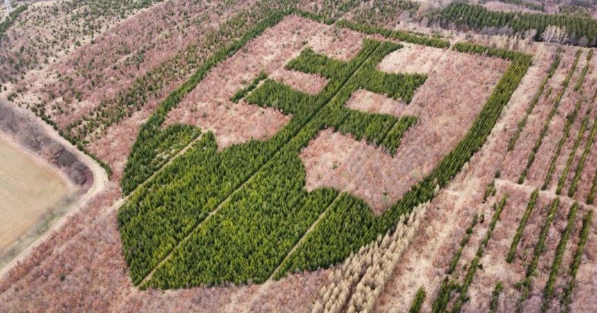 rarita o ktorej ste zrejme netusili statny znak v horovciach zasadil zanieteny dobrovolnik