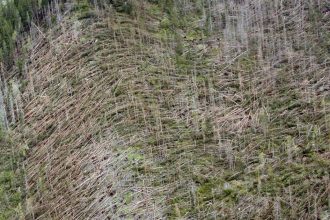 Ako svet prichadza o vzacnych ludi