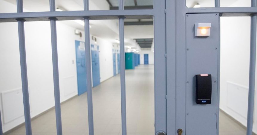 Prezident udelil milost nepodmienene odsudenej matke troch deti