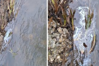 Rieky su plne nebezpecnych chemikalii kontaminacia ma jasny povod ich cistenim sa zaobera aj stat