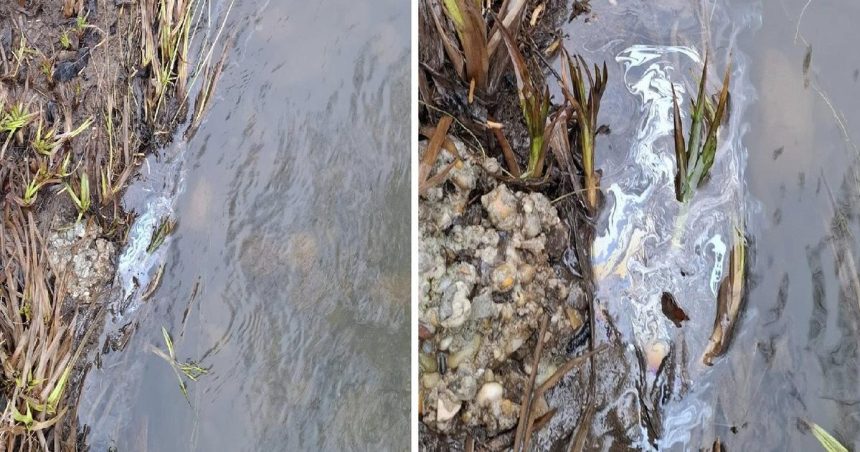 Rieky su plne nebezpecnych chemikalii kontaminacia ma jasny povod ich cistenim sa zaobera aj stat