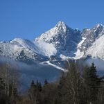 Ustav ekologii lesa navrhuje statnym organom viacerze zmeny pri zonaciach