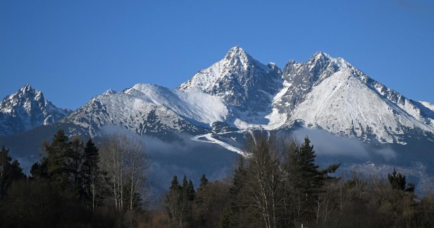 Ustav ekologii lesa navrhuje statnym organom viacerze zmeny pri zonaciach