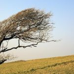V sobotu hrozi najma na zapade Slovenska a v horach silny vietor
