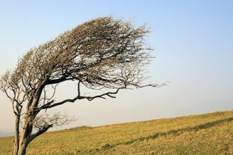 V sobotu hrozi najma na zapade Slovenska a v horach silny vietor