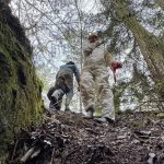 Z jaskyne urobil nelegalnu kafilriu Nali v nej desiatky kl zvieracch pozostatkov