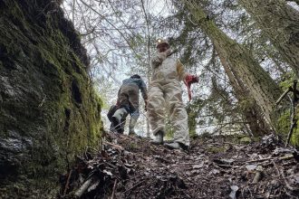 Z jaskyne urobil nelegalnu kafilriu Nali v nej desiatky kl zvieracch pozostatkov