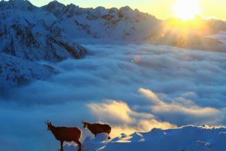 jedna dobra sprava jedna obava a jedno varovanie