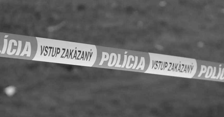 rocne dieta sa utopilo v zahradnom jazierku zachranari mu uz nemohli pomoct