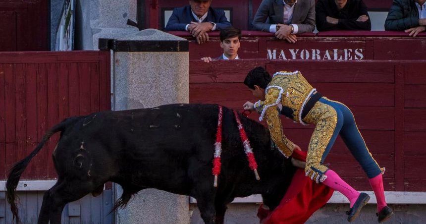 Byk usmrtil v arene v spanskej Malage byvaleho toreadora