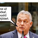 Cynicka obluda Zelenskyj na muske