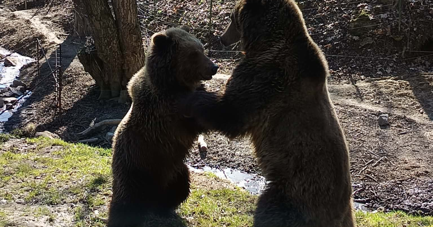 Kosicka zoologicka zahrada startuje jubilejnu sezonu laka na velkonocny program