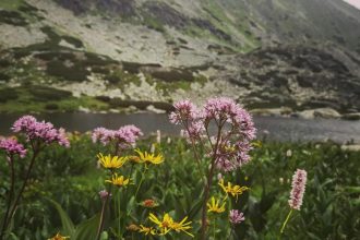 V Tatrach prebieha ticha revolucia Zmizli z nich odbornici