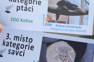Zoologicka zahrada Kosice si z cesko slovenskej sutaze Biely slon odniesla dve ocenenia