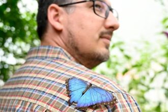 Na dosah zamku lietaju tropicke motyle rady si sadnu aj na navstevnikov Oblubena letna atrakcia je opat otvorena