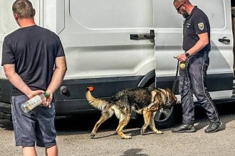 Policajti uskutocnili osobitnu kontrolu pri vychodnej hranici okrem inho hladali drogy