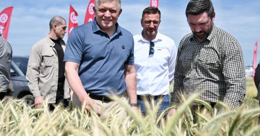 Polnohospodarstvo celi podla premiera Fica dvom hlavnym vyzvam