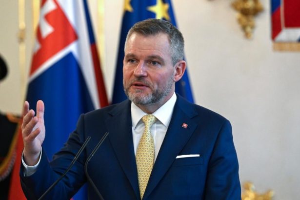 Prezident podpisal novelu zakona o energetike sprisni pravidla pre domacnosti