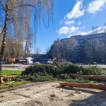 Stromy na Vajanskeho namesti vyvolali vasne Primator Martina celi kritike za svoje vyjadrenia