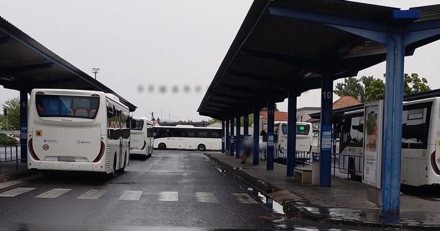 Chladnokrvny utok na stanici Mestski policajt musel zasiahnu s pouzitm sily