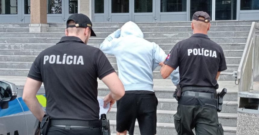 Kosicana obvinili z psychickeho a fyzickeho tyrania partnerky Sud ho poslal do vazby