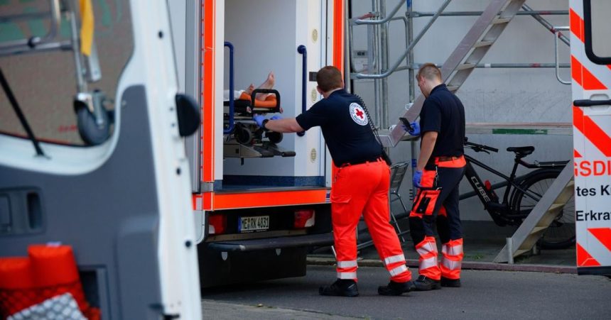 V Nemecku tento rok uz zaznamenali viac ako 800 umrti spojenych s horucavami