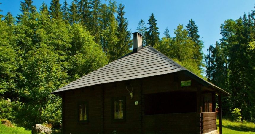 Za 20 eur noc v srdci divociny V tichto chatach sa ludia odpoja od sveta