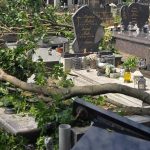po nicivej burke hrozia pady konarov aj stromov v meste uzavreli zamocky park aj mestsky cintorin