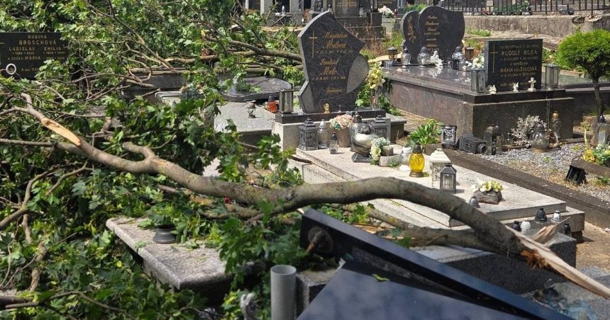 po nicivej burke hrozia pady konarov aj stromov v meste uzavreli zamocky park aj mestsky cintorin