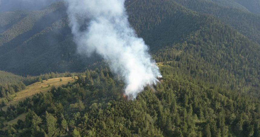 Lesny poziar v Narodnom parku Velka Fatra sa podarilo uhasit