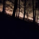 Ohen mohol sposobit obrovske skody desiatky hasicov vyrazili k nocnemu poziaru v lese