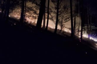 Ohen mohol sposobit obrovske skody desiatky hasicov vyrazili k nocnemu poziaru v lese