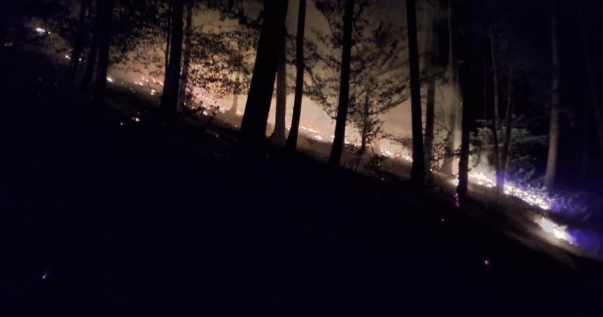 Ohen mohol sposobit obrovske skody desiatky hasicov vyrazili k nocnemu poziaru v lese