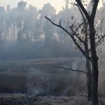 V belgickom prirodnom parku Hautes Fagnes zhorelo uz tritisic hektarov lesa