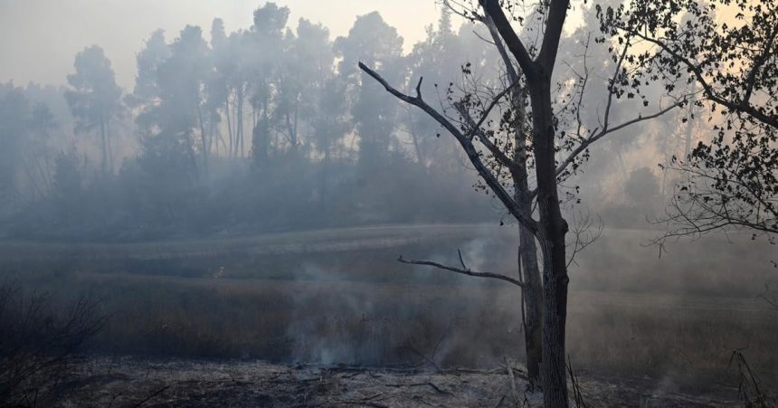 V belgickom prirodnom parku Hautes Fagnes zhorelo uz tritisic hektarov lesa