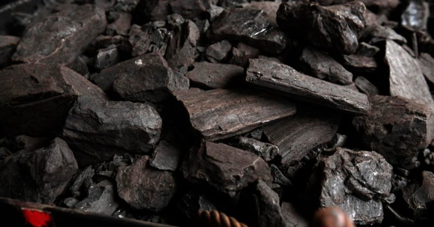 V roku 2025 dosiahnlo uhlie pri vyrobe elektriny v Unii historicke minimum