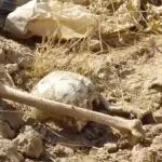 Archeológovia na Srí Lanke objavili nové starobylé nálezisko