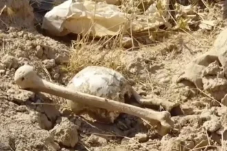 Archeológovia na Srí Lanke objavili nové starobylé nálezisko