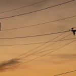 Ceny plynu a elektriny sa po strmom vzostupe ustálili