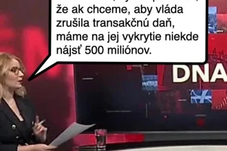 Cynická obluda: Kde nájsť 500 miliónov pre Slovensko