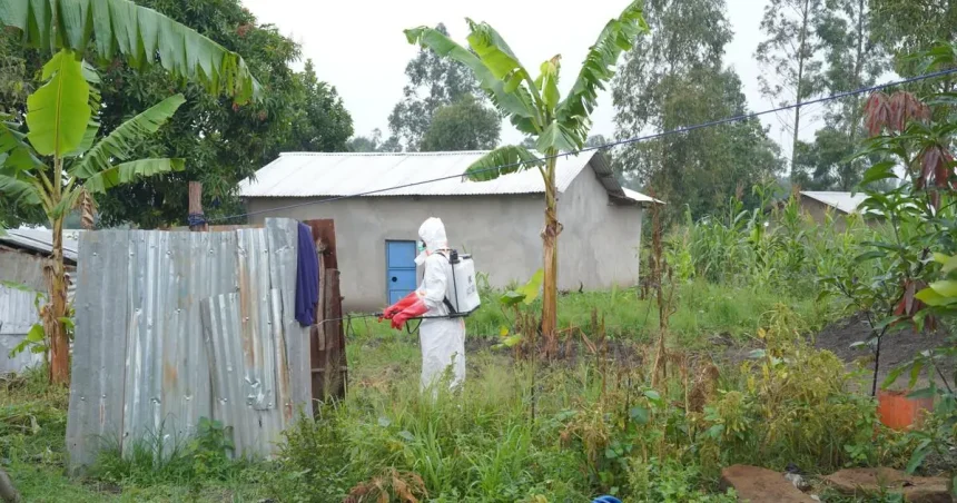 Ebola: od vypuknutia epidémie už viac ako 8000 prípadov